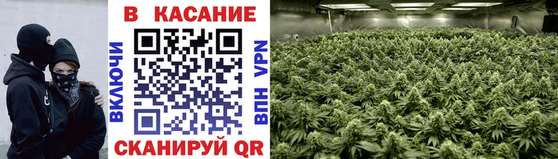 Купить закладку Каннабис  Меф  Cocaine  Codein  Гашиш  Дмитровск