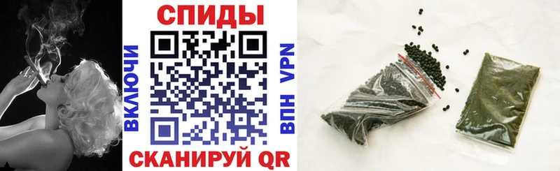 Купить где Дмитровск Бутират BDO