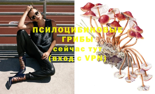 герыч Белокуриха