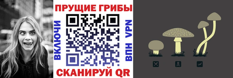 Галлюциногенные грибы Magic Shrooms  Купить закладки  Дмитровск 