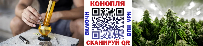 Бошки марихуана SATIVA & INDICA  Купить  Дмитровск 